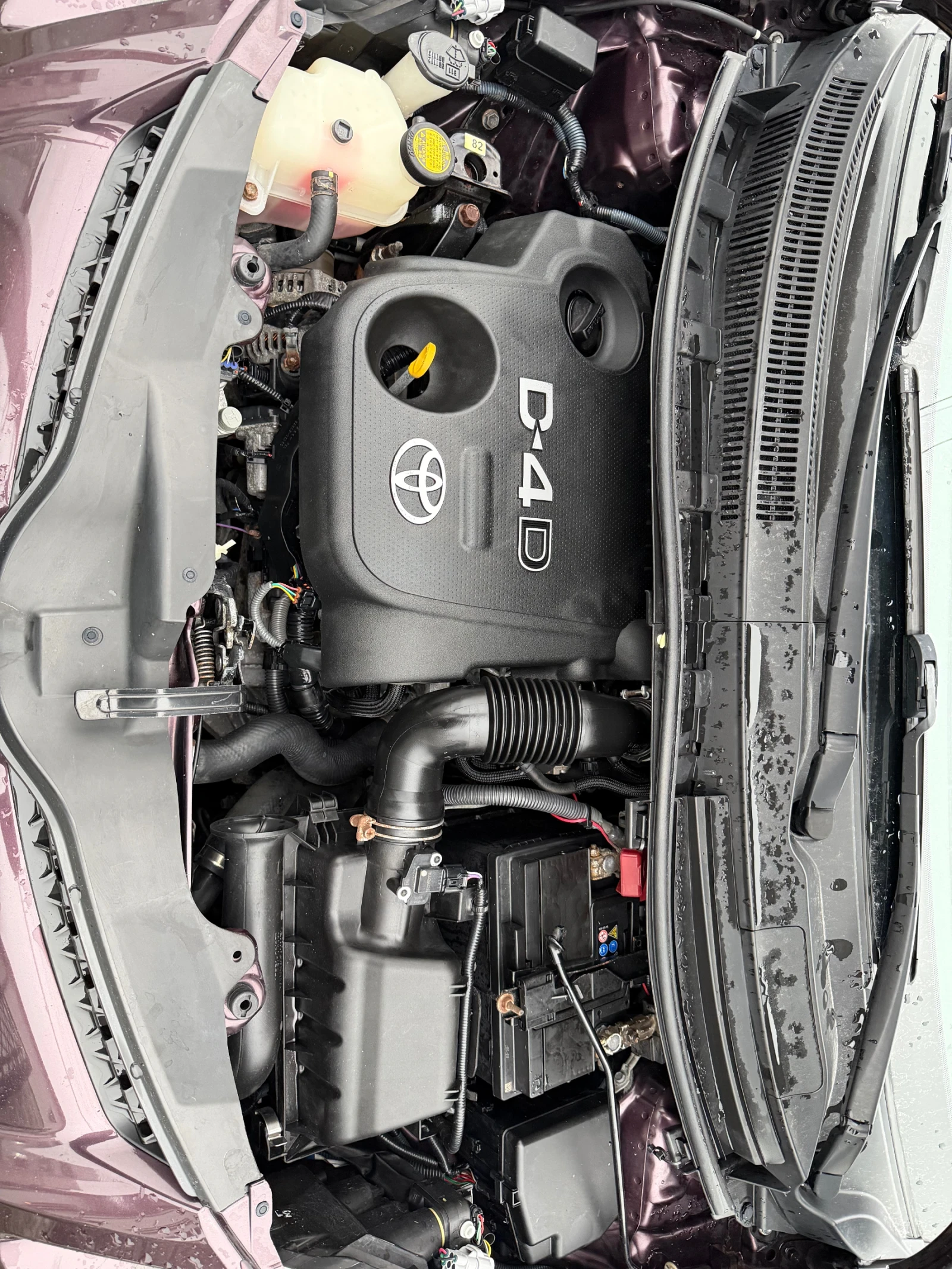 Toyota Urban Cruiser 1.4 D4D Special, снимка 6 - Автомобили и джипове - 53954518