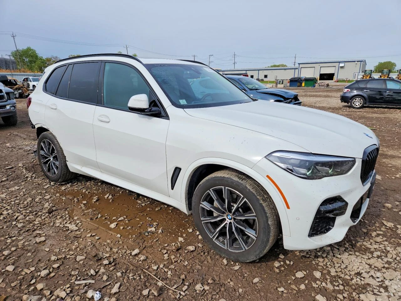 BMW X5 3.0l xDrive40I, снимка 4 - Автомобили и джипове - 54705619
