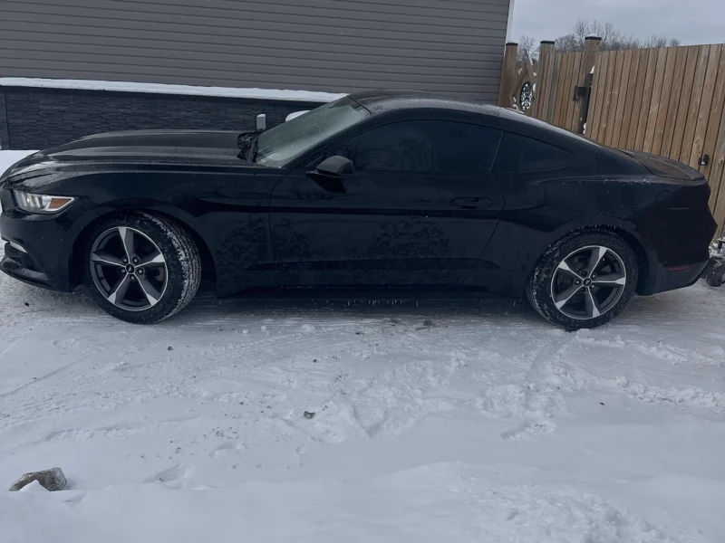 Ford Mustang 3.7L 6cyl RWD