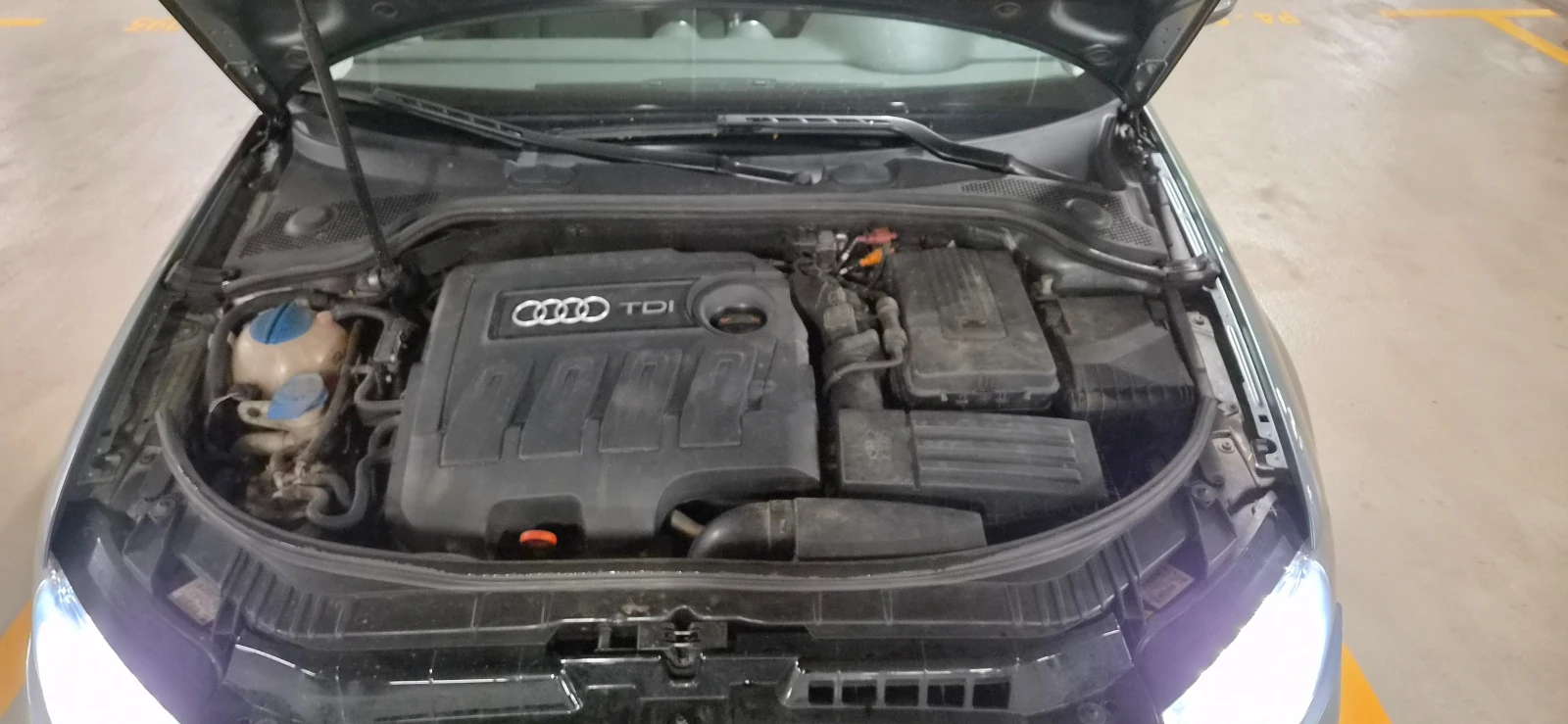 Audi A3 8P, снимка 5 - Автомобили и джипове - 54903261