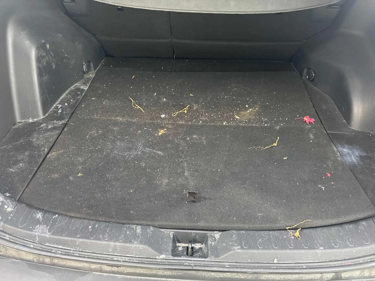 Toyota Rav4 * XLE * ПРЕДСТАВИТЕЛСТВО * ПОДГРЕВИ * КАМЕРА * ПАМ, снимка 14 - Автомобили и джипове - 54021133