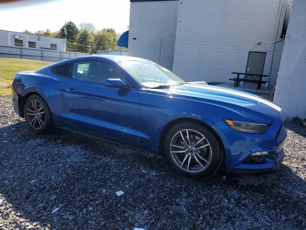 Ford Mustang ECOBOOST* ПОДГРЕВ* КОЖА - изображение 3