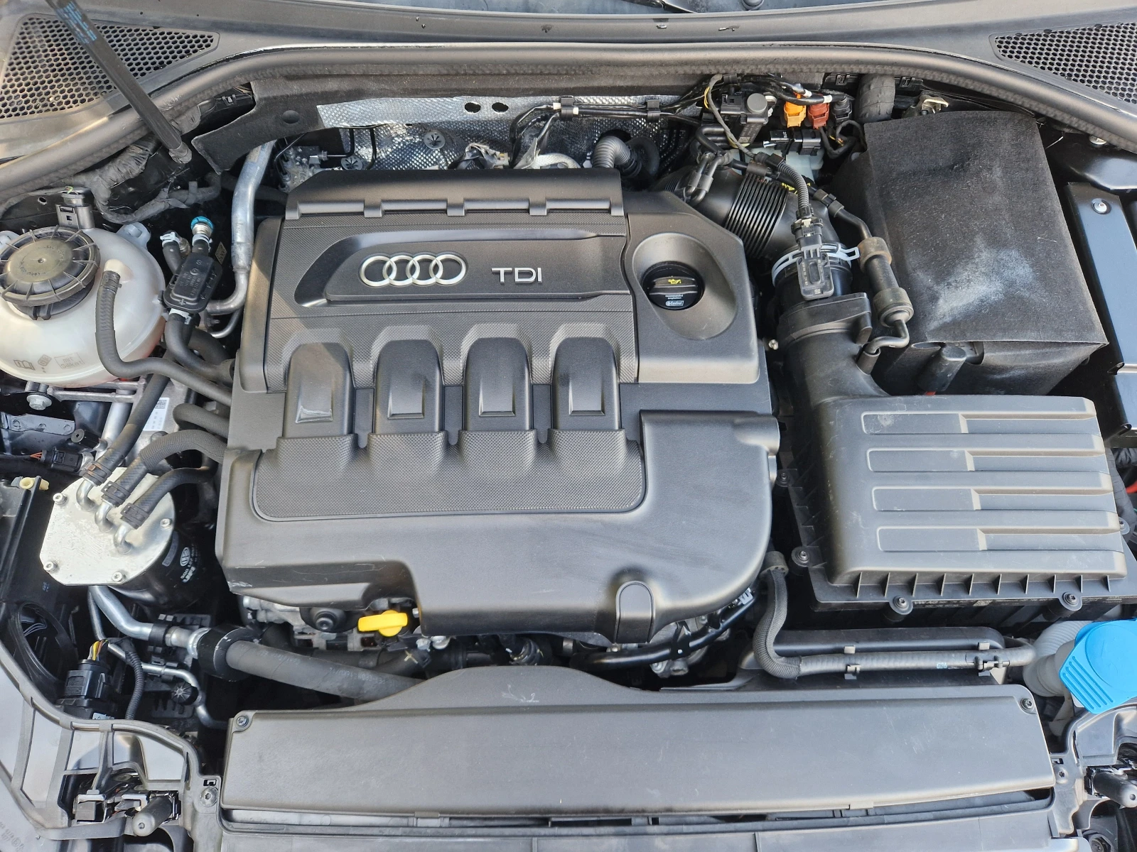 Audi A3 1.6TDI/Navi/Xenon, снимка 10 - Автомобили и джипове - 55154282