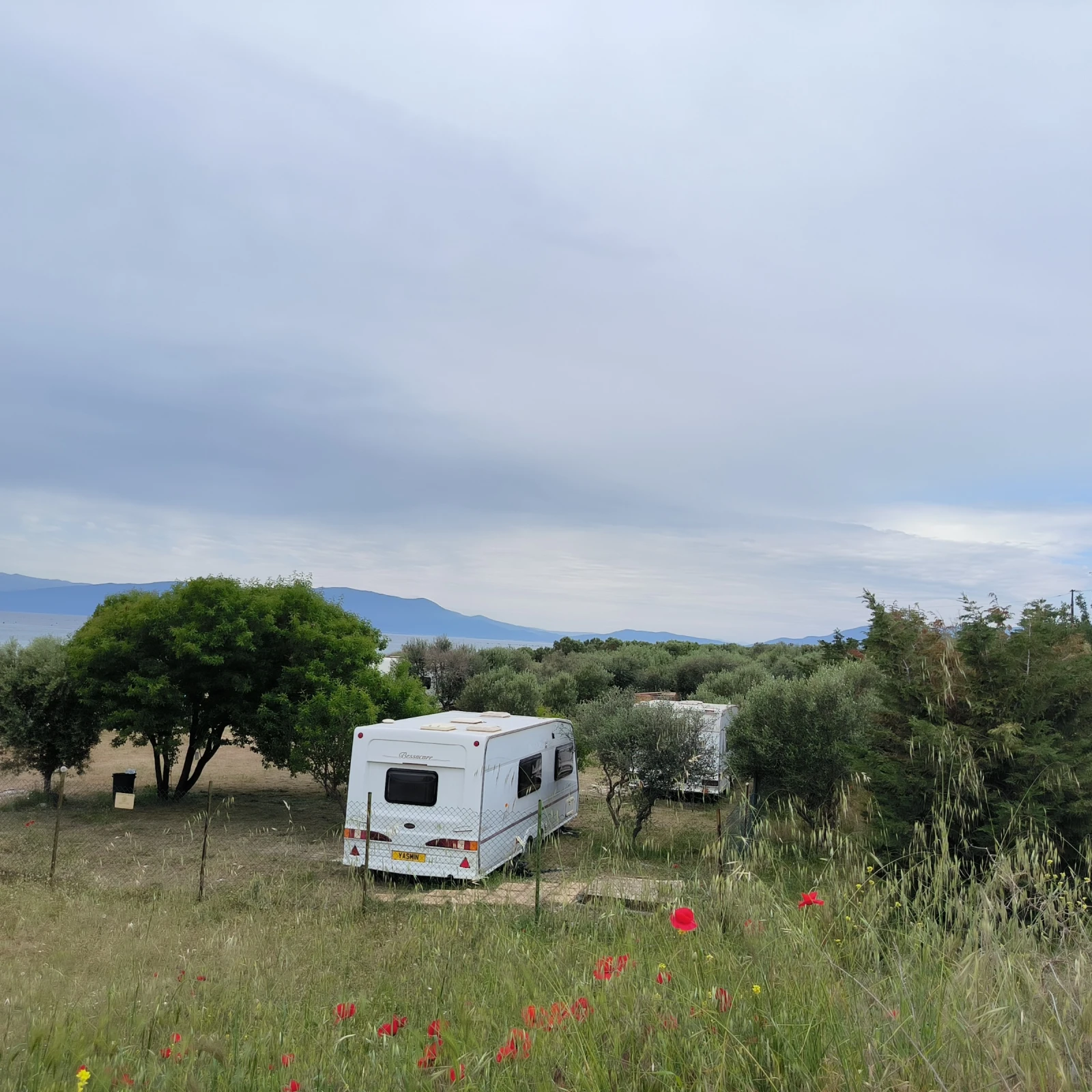  Cameo 550 GL NT Bessacarr | Mobile.bg   12