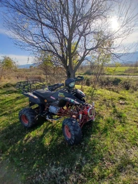 Shineray XY | Mobile.bg    10