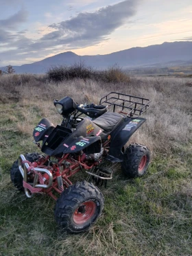 Shineray XY | Mobile.bg    2