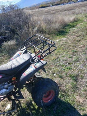 Shineray XY | Mobile.bg    5