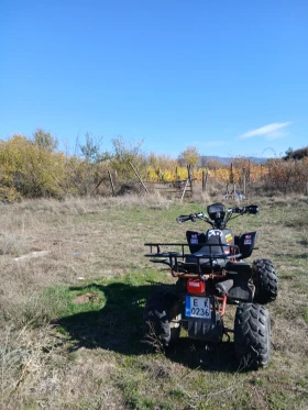 Shineray XY | Mobile.bg    4