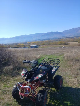 Shineray XY | Mobile.bg    8