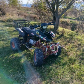 Shineray XY | Mobile.bg    7