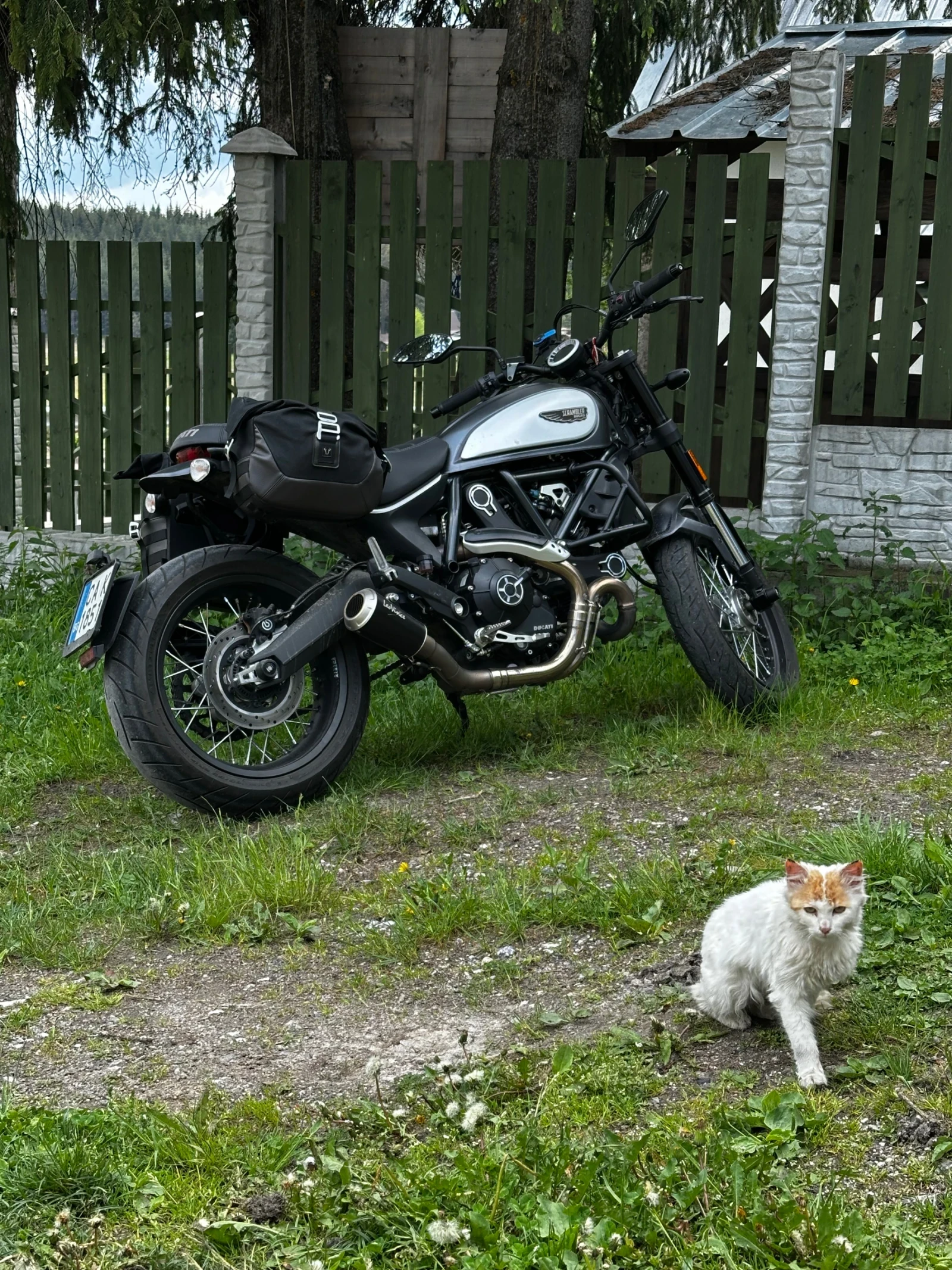 Ducati Ducati Scrambler Icon, снимка 6 - Мотоциклети и мототехника - 54282461