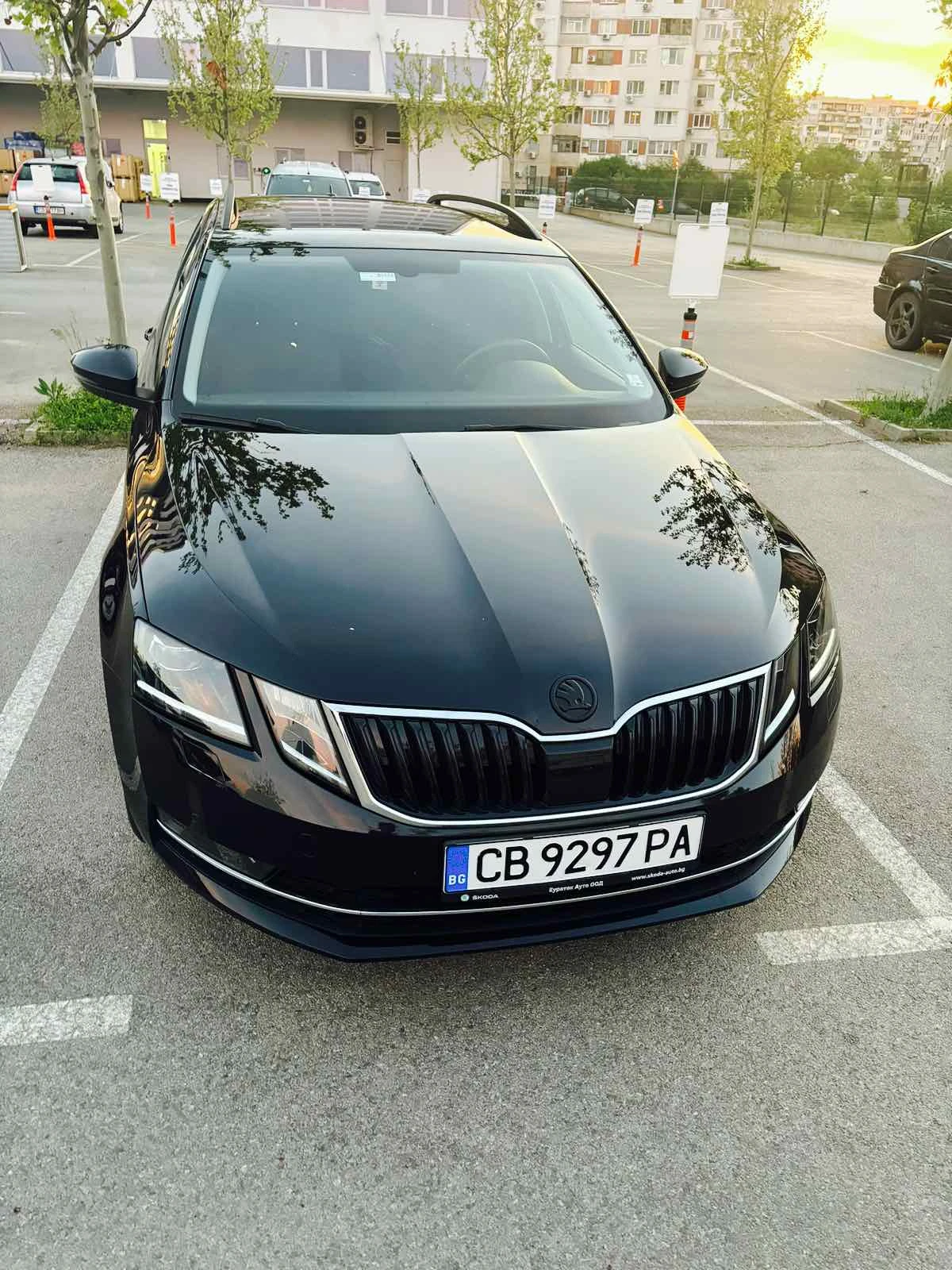 Skoda Octavia 2.0TDI RS 4x4 DSG, снимка 9 - Автомобили и джипове - 54364762