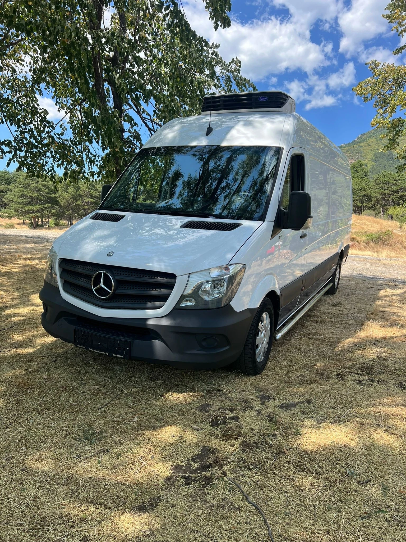 Mercedes-Benz Sprinter 313 Maxi Klima - изображение 2