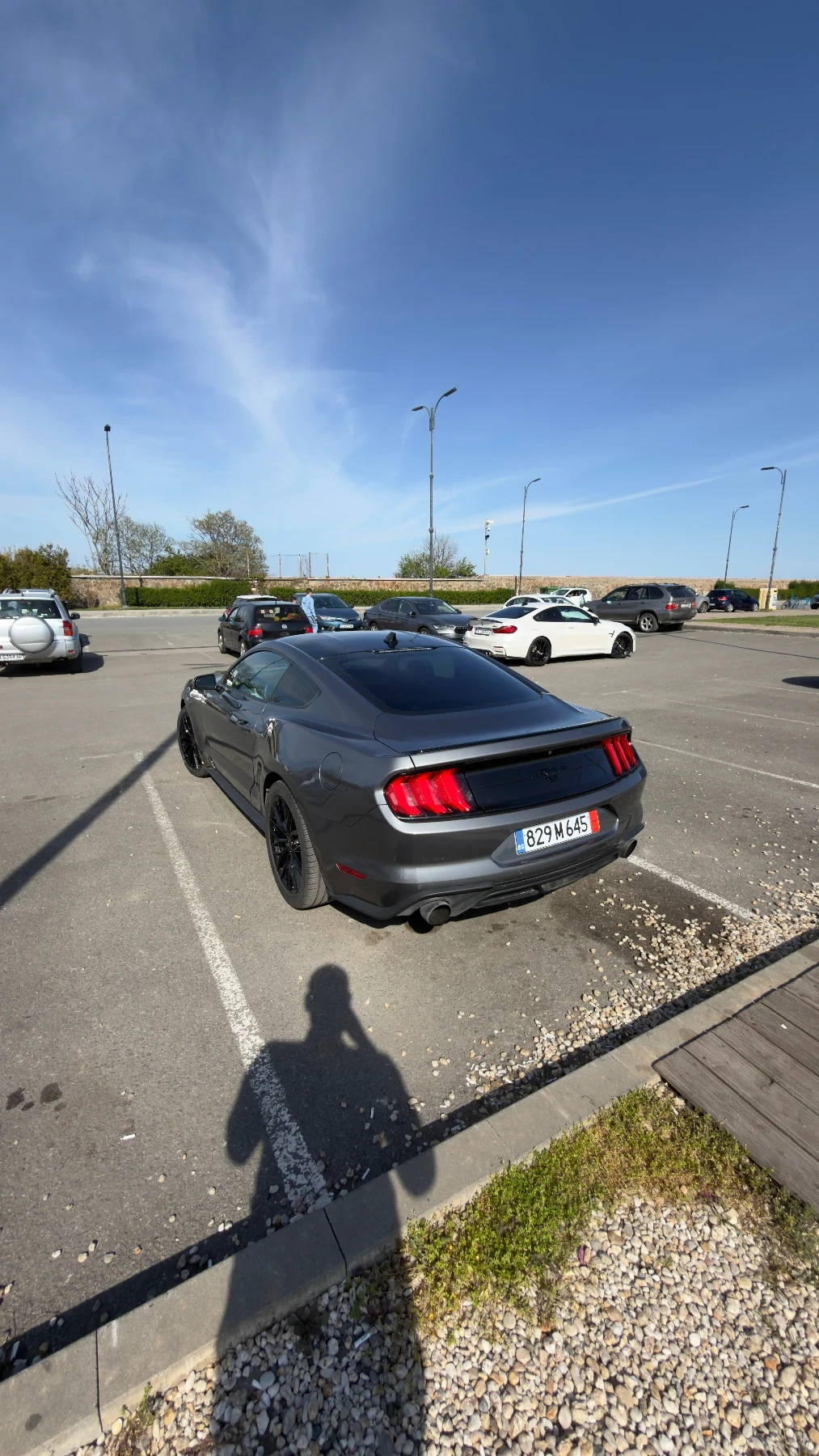 Ford Mustang 2.3 Ecoboost 10900km, снимка 4 - Автомобили и джипове - 54332303