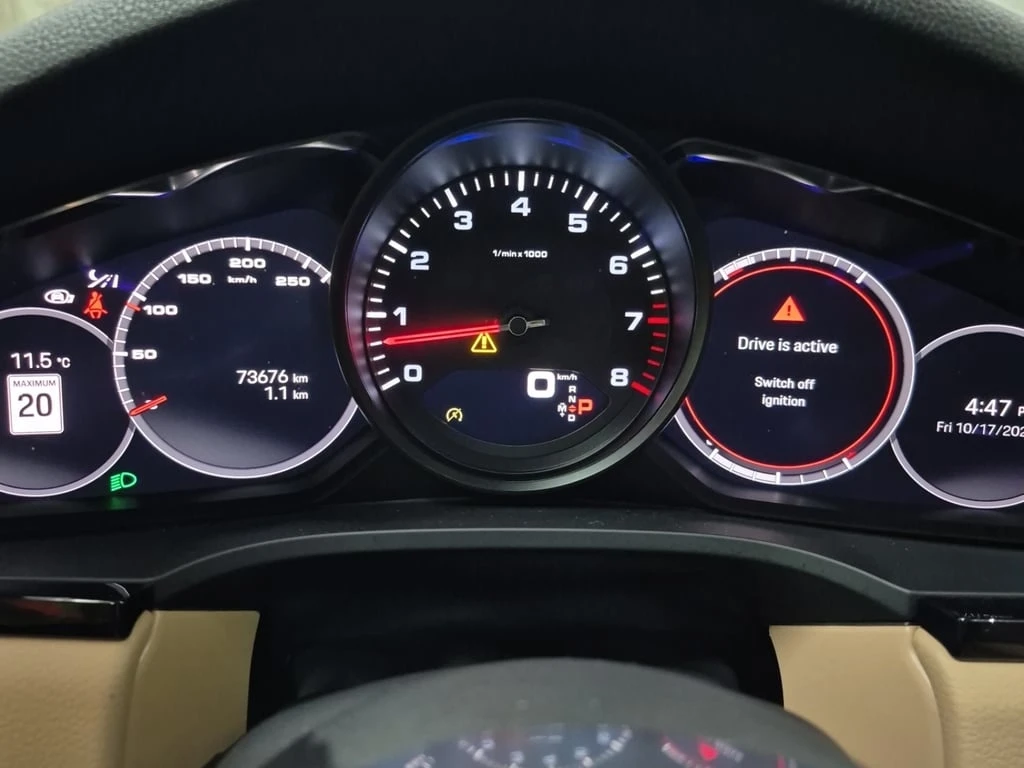 Porsche Cayenne * PLATINUM EDITION * CARFAX * БЕЗ ПЪРВОНАЧАЛНА ВНО - изображение 10