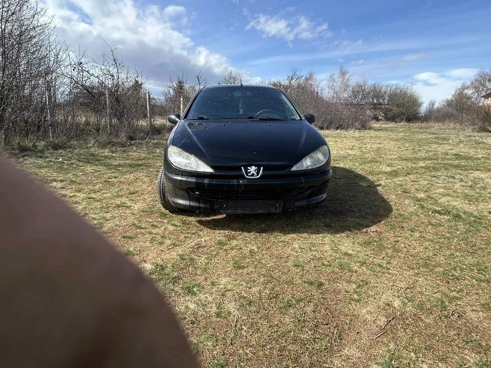 Peugeot 206 1.4 бензин - изображение 2