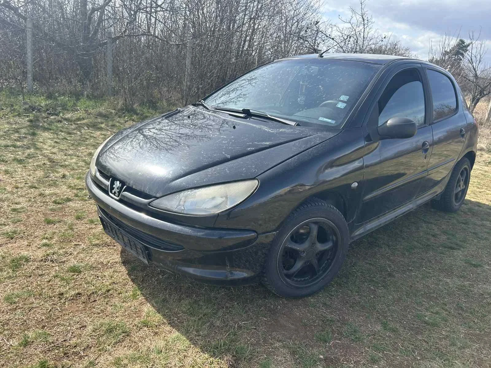 Peugeot 206 1.4 бензин - изображение 8