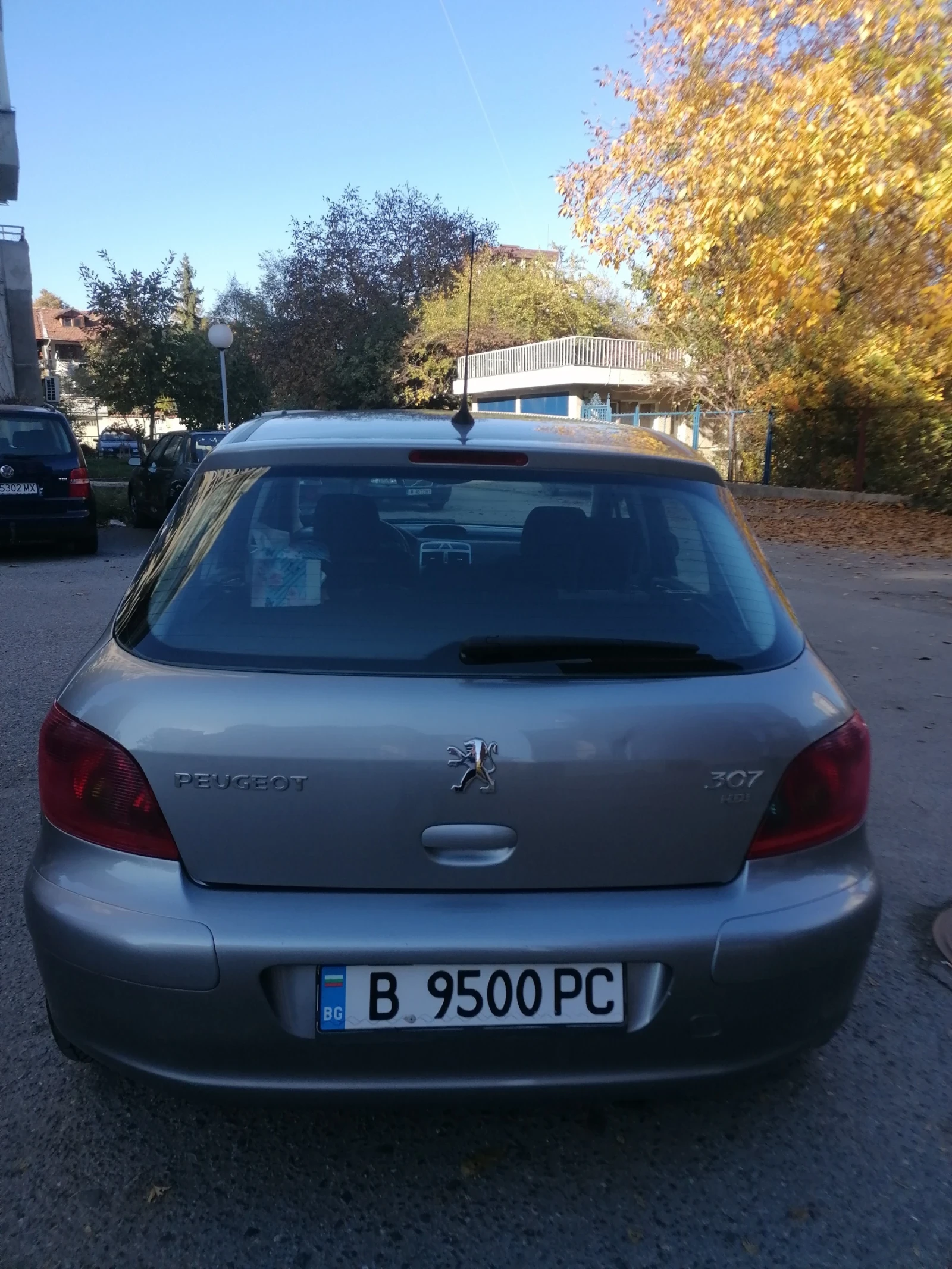 Peugeot 307 1.6 HDI, снимка 3 - Автомобили и джипове - 54817806