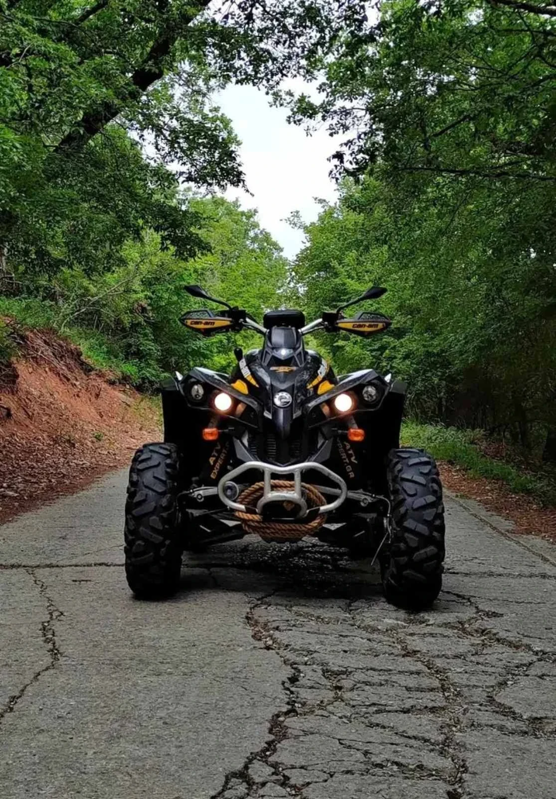 Can-Am Renеgade 800R