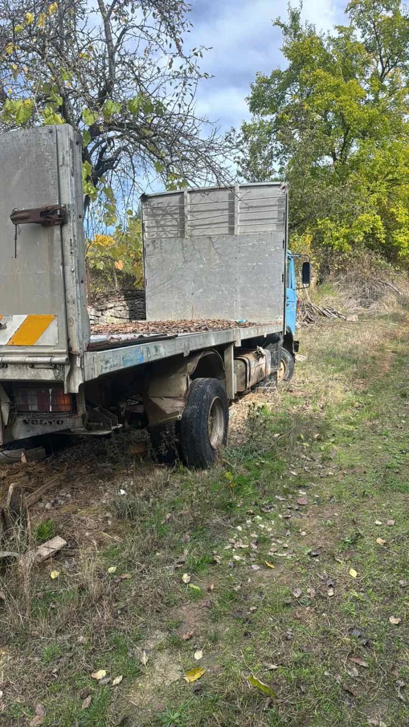 Volvo F, снимка 4 - Камиони - 52522260
