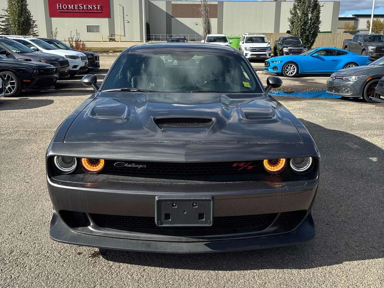 Dodge Challenger SCAT PACK 392* ���������� ��� ������������ ������* | Mobile.bg � ����������� 2