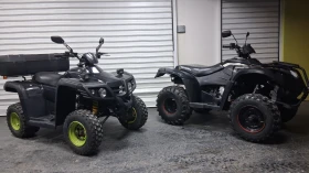 Aeon Cobra Нов внос с регистрация , снимка 2