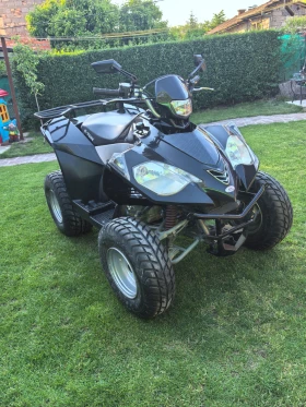    Sym Quadlander E-ton vector st300
