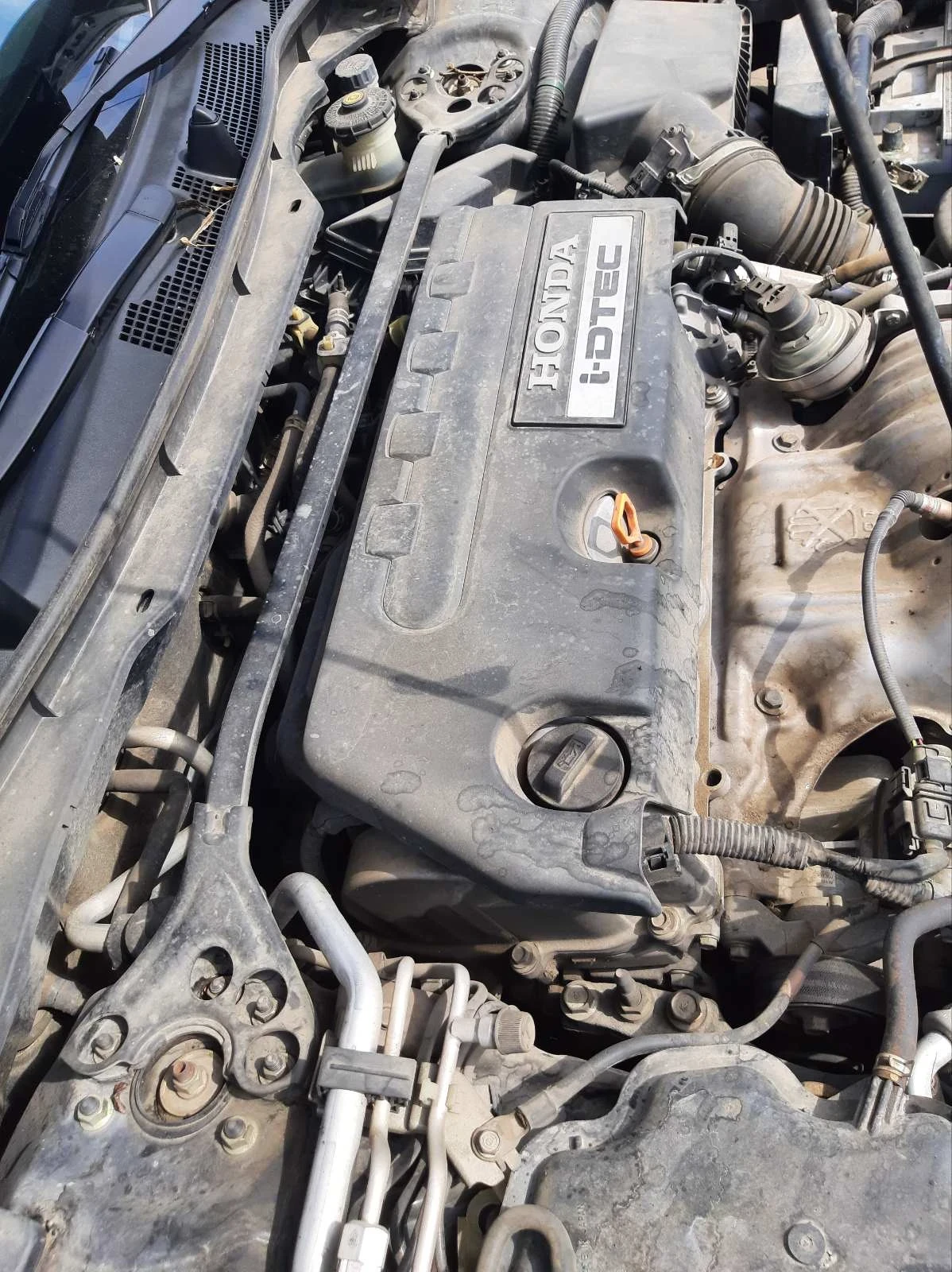 Honda Accord | Mobile.bg � ����������� 14