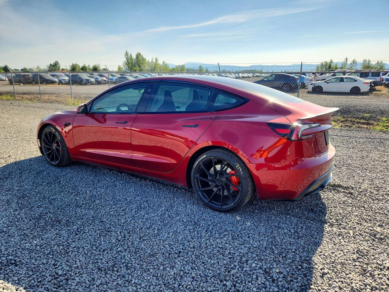 Tesla Model 3 PERFORMANCE | DUAL MOTOR | AWD, снимка 2 - Автомобили и джипове - 55798945