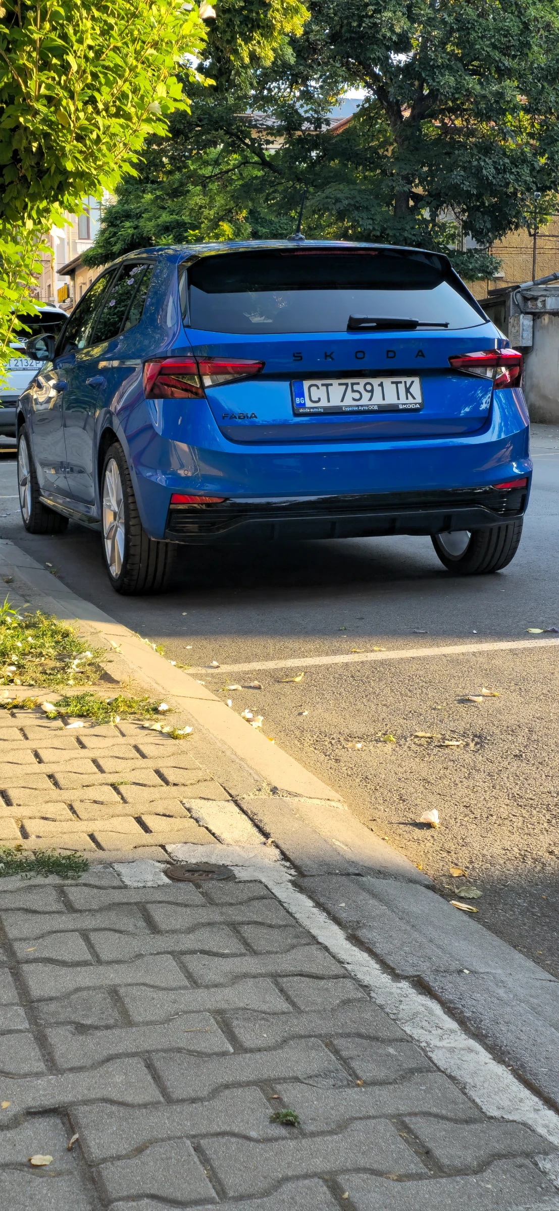 Skoda Fabia Monte Carlo Plus - изображение 6