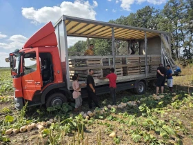 Mercedes-Benz Atego, снимка 3
