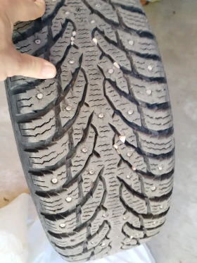 ���� � ������ 195/65R16 �� Nissan X-trail | Mobile.bg � ����� ������ 5