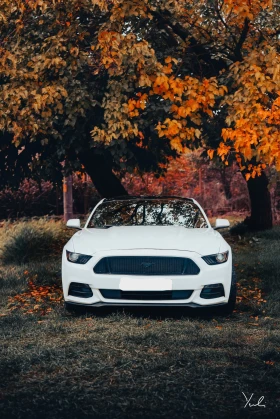 Ford Mustang 3.7 РЪЧКА / бартер за F150        , снимка 7