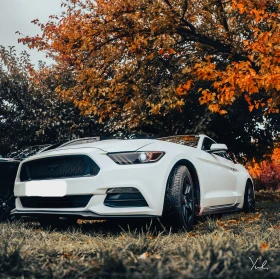 Ford Mustang 3.7 РЪЧКА / бартер за F150        , снимка 2