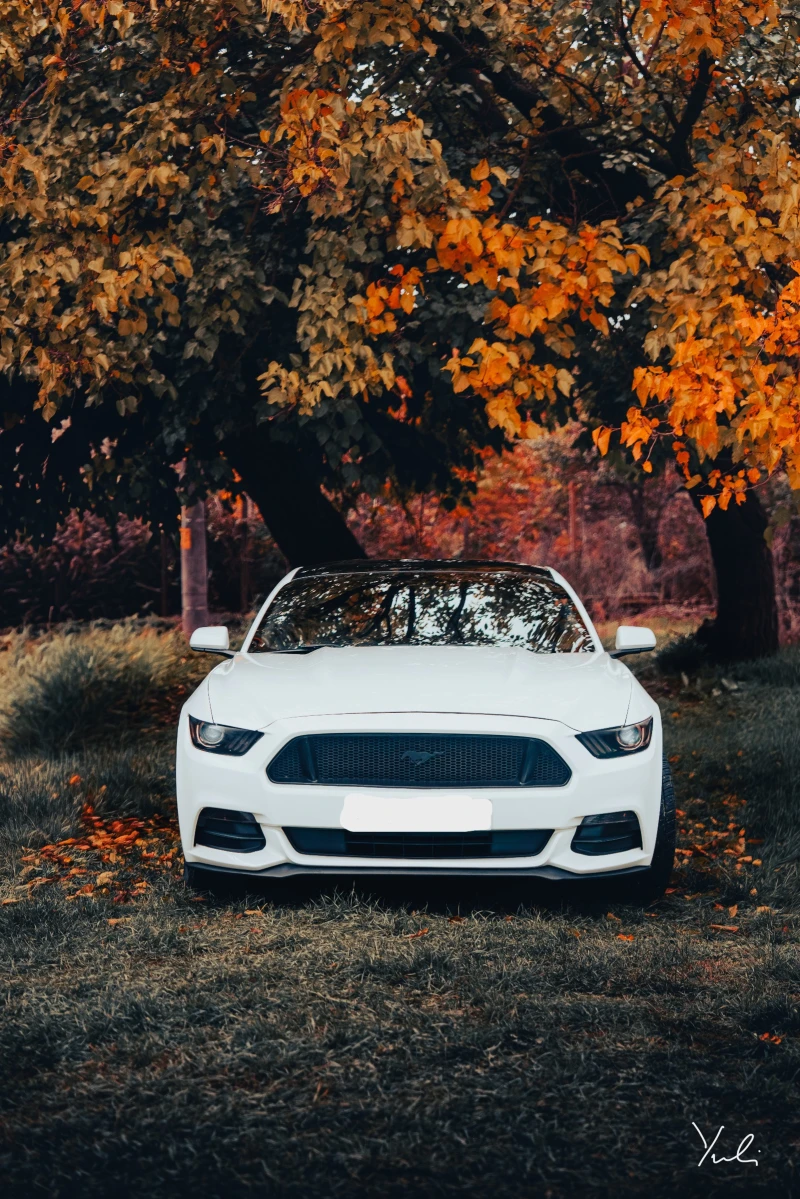 Ford Mustang 3.7 РЪЧКА / бартер за F150        , снимка 7 - Автомобили и джипове - 52997422