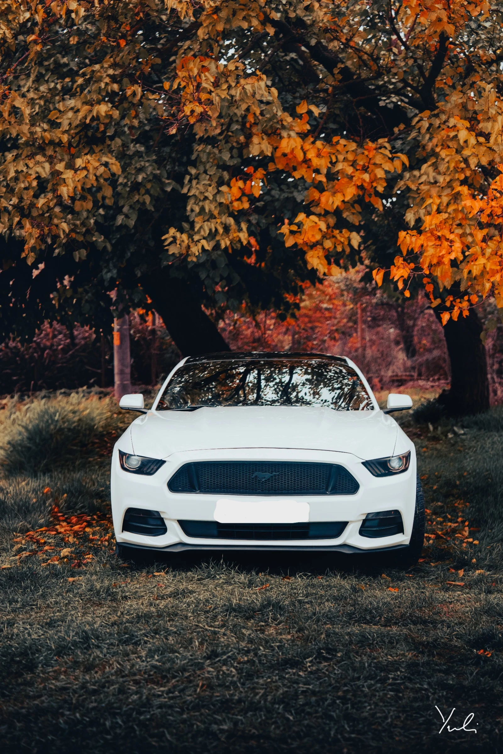 Ford Mustang 3.7 РЪЧКА / бартер за F150         - изображение 7