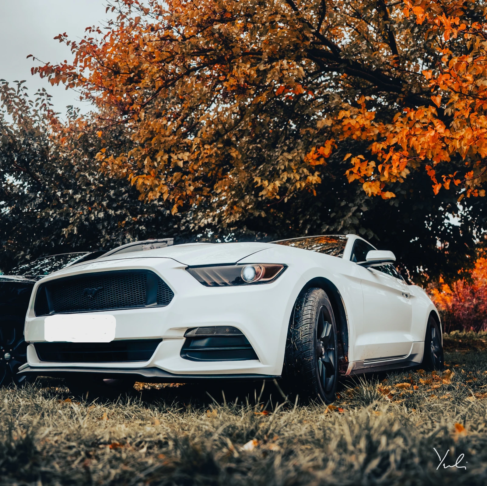 Ford Mustang 3.7 РЪЧКА / бартер за F150         - изображение 4