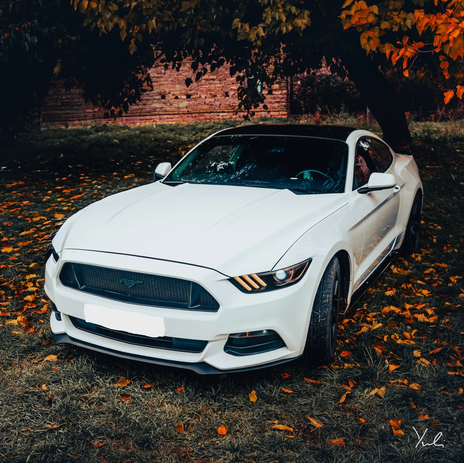 Ford Mustang 3.7 РЪЧКА / бартер за F150         - изображение 3