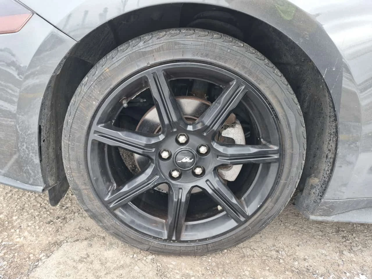 Ford Mustang * ECOBOOST * CARFAX * , снимка 6 - Автомобили и джипове - 53903956