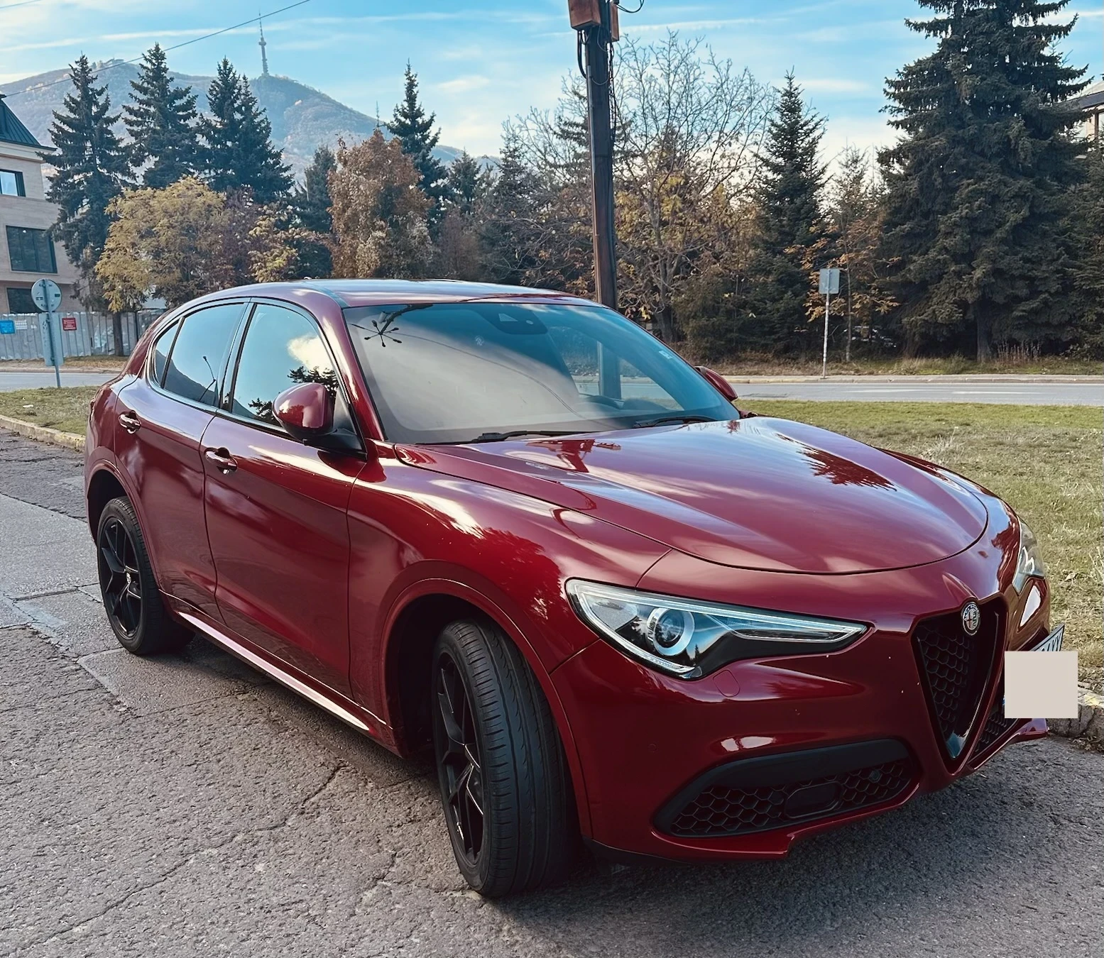 Alfa Romeo Stelvio Q4, снимка 1