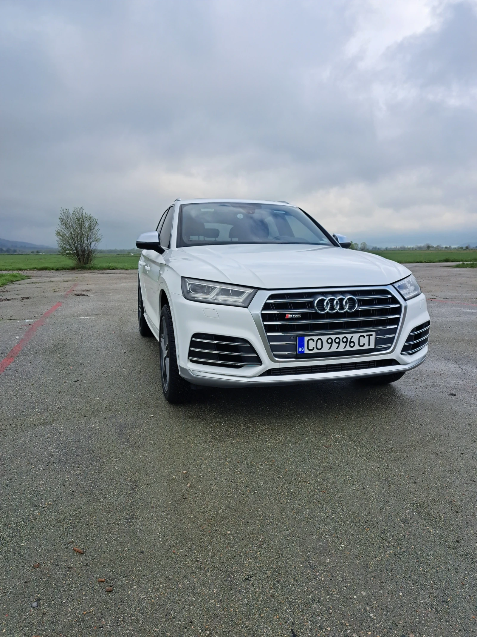 Audi SQ5  - изображение 4
