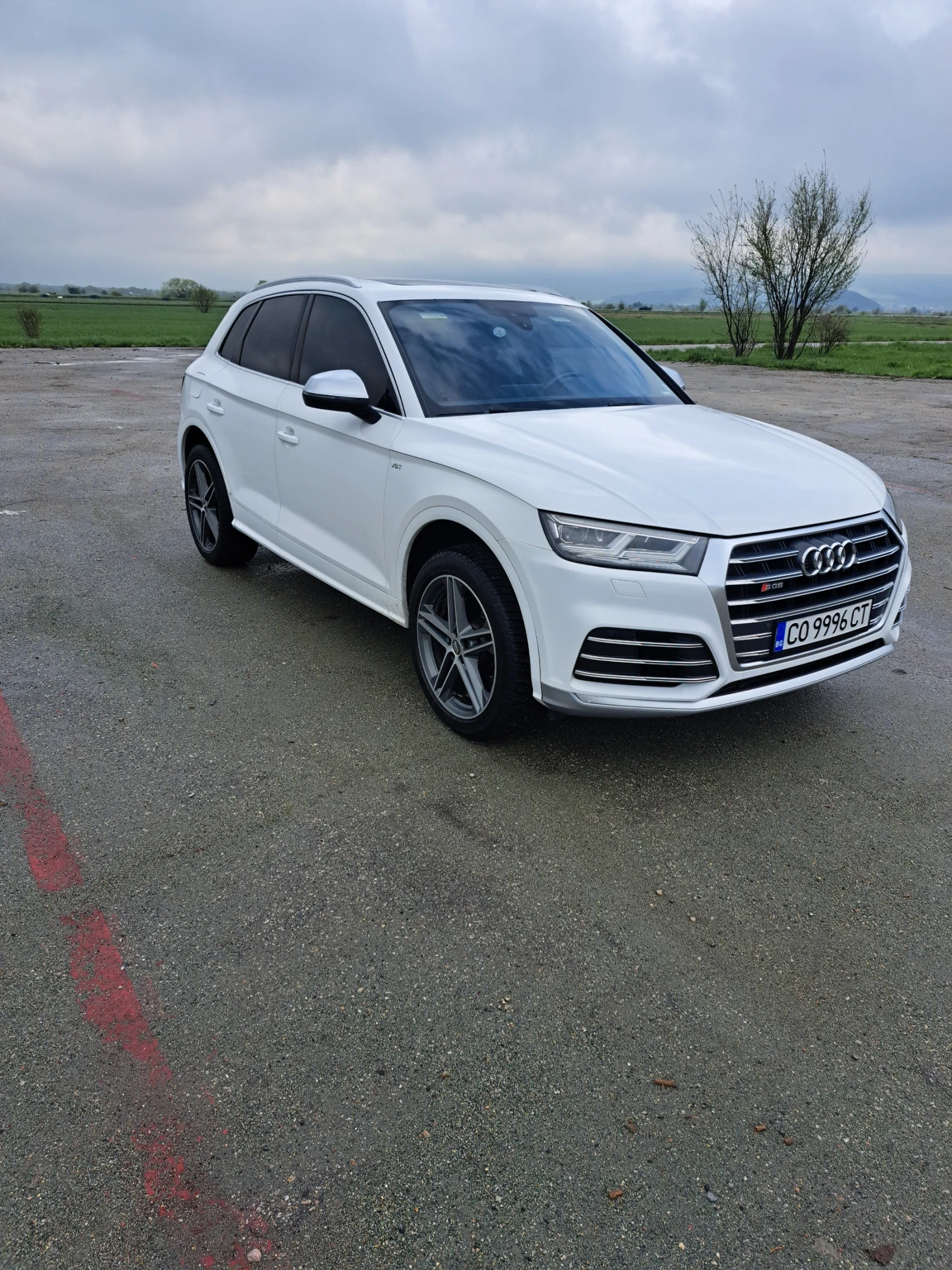 Audi SQ5  - изображение 5