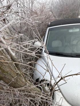 VW New beetle - 500 € / 977.91 лв. - 26376083 3