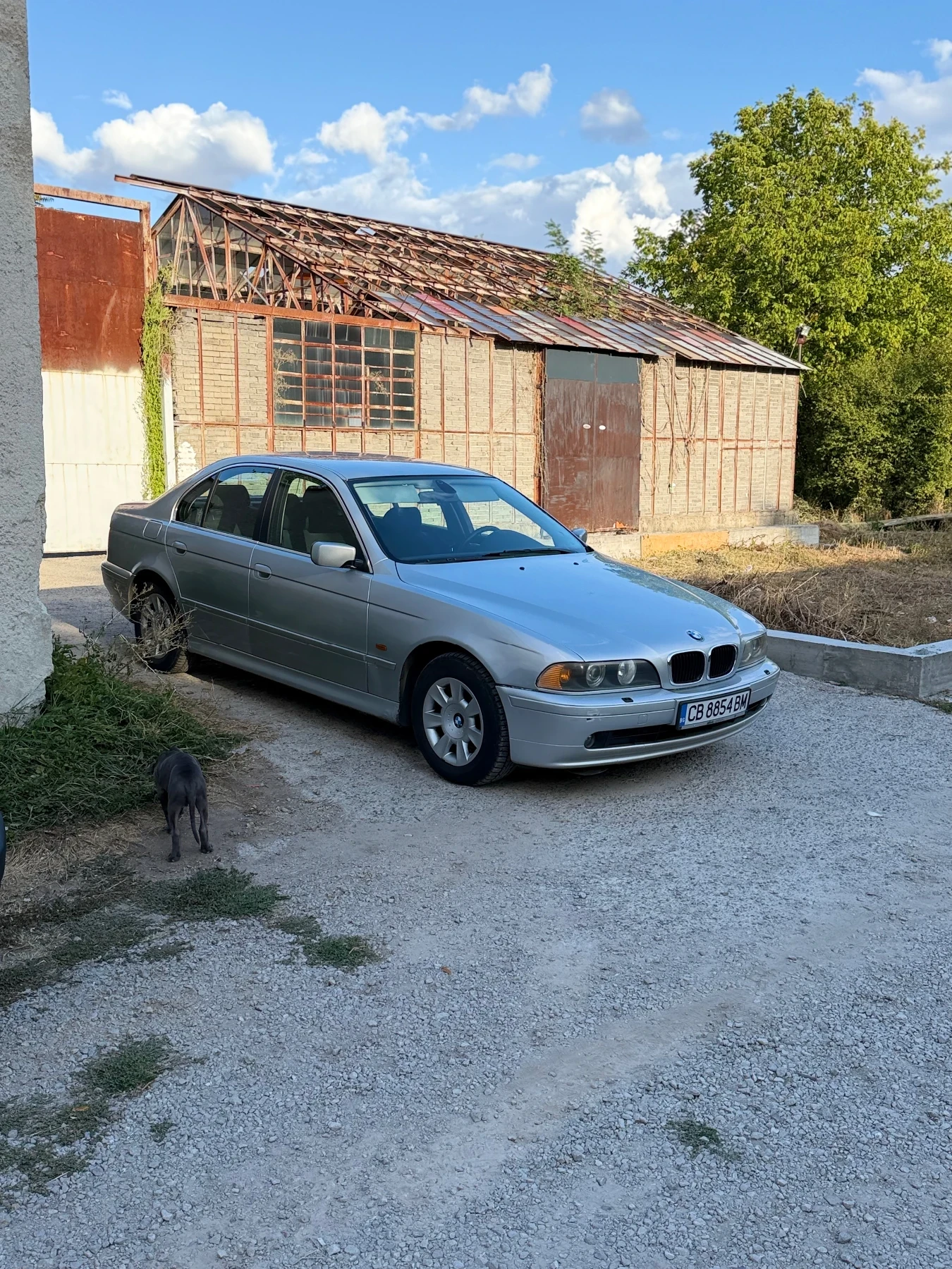 BMW 525