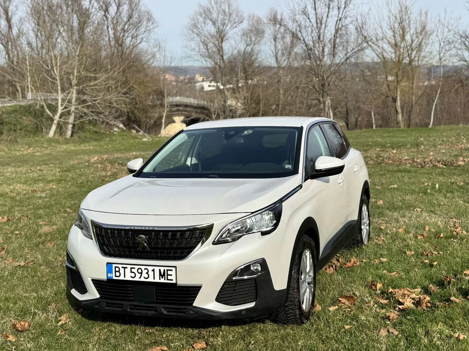 Peugeot 3008 1.2 Pure Tech, снимка 1