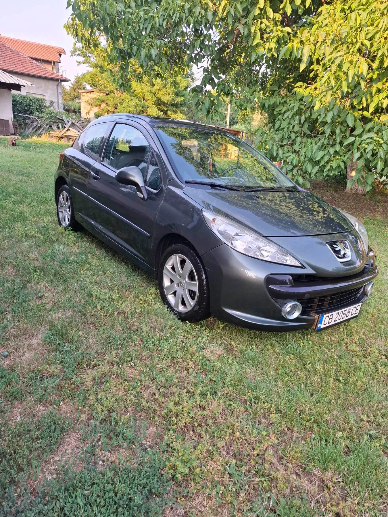 Peugeot 207 1.6hdi, снимка 1