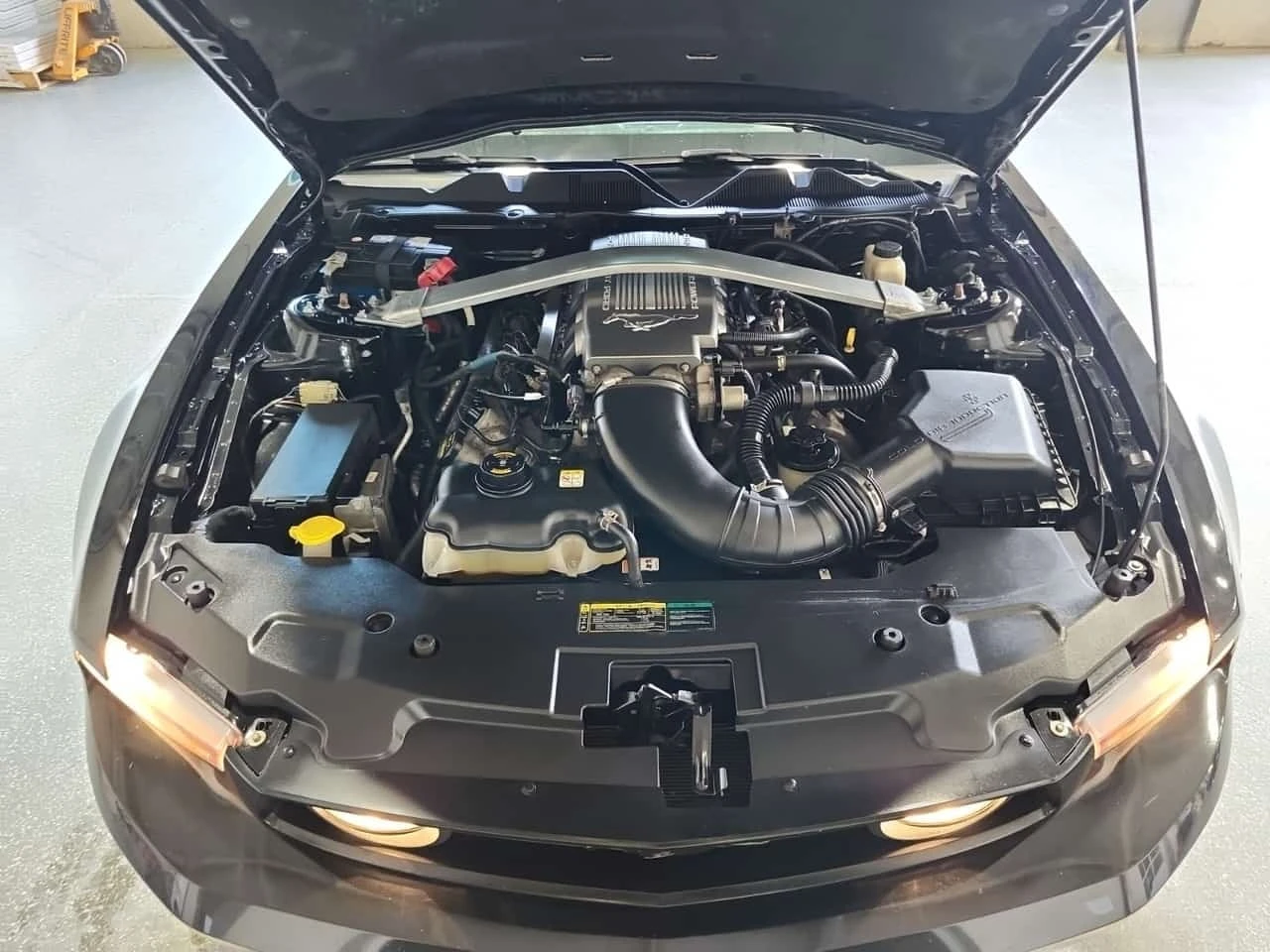Ford Mustang * GT * CARFAX *  | Mobile.bg � ����������� 17