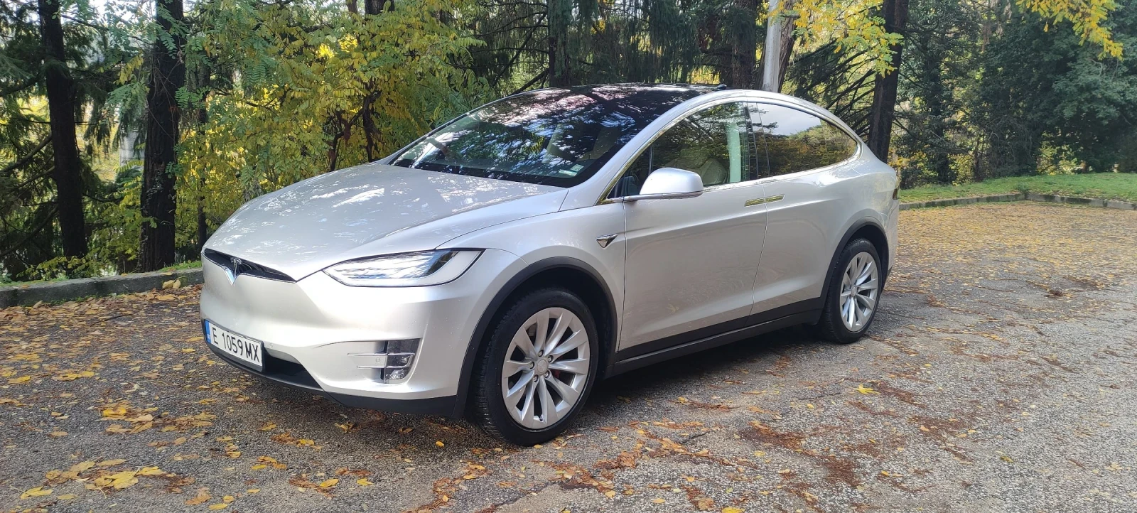 Tesla Model X 100 D, снимка 1