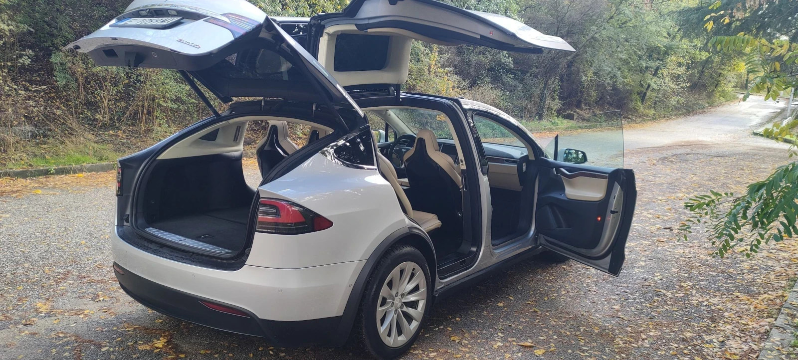 Tesla Model X 100 D | Mobile.bg   4
