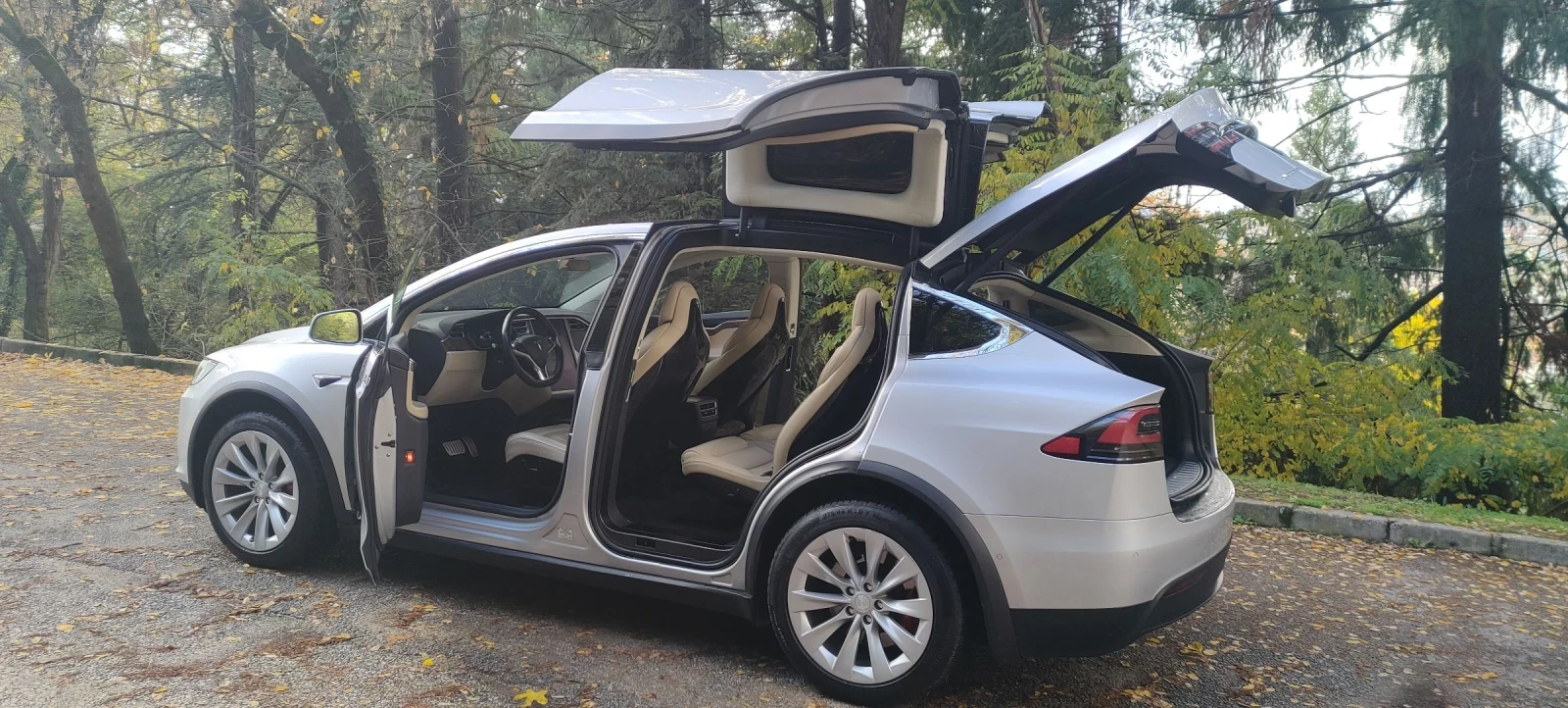Tesla Model X 100 D | Mobile.bg   3